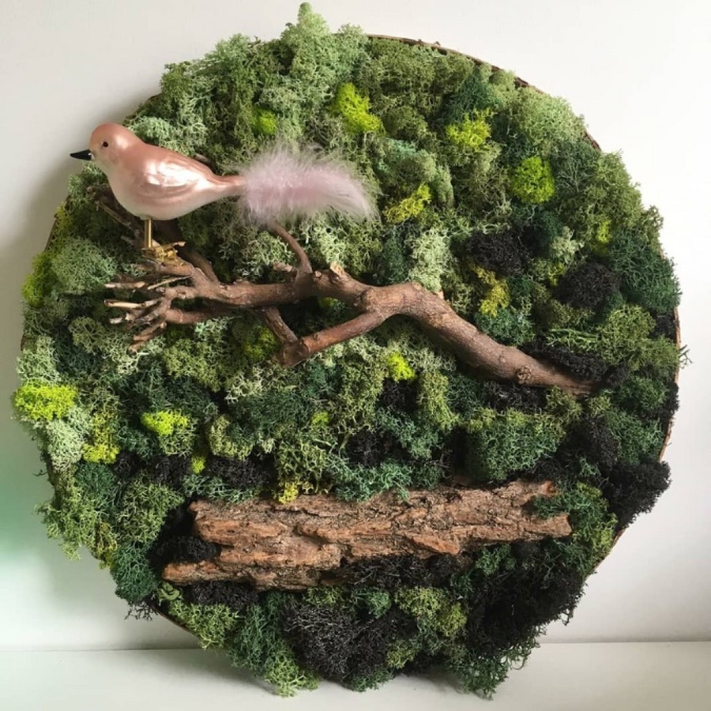 Moswandje maken in Uitgeest