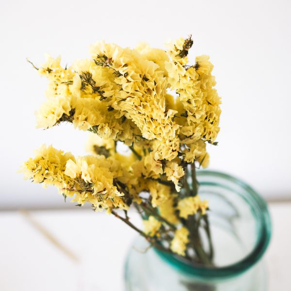 Golden-summer-droogbloemen-DIY-pakket-groningen-urbanheart.