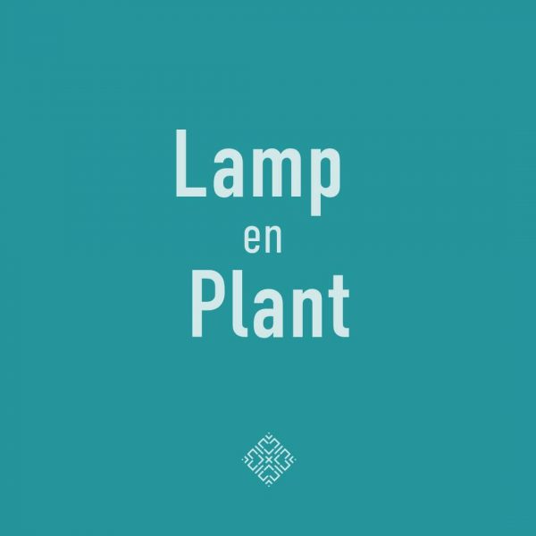 Kesbeke-lamp-pot-glas-planten-workshop-groningen-urbanheart