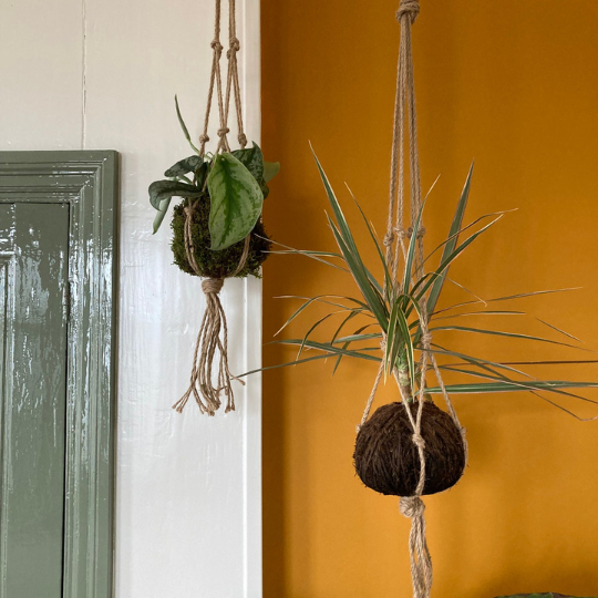 Kokedama-plantenhanger-groene-workshop-uitgeest-japans-urbanheart