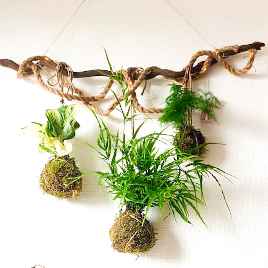 Kokedama-workshop-plantenhanger-plant-groningen-leeuwarden-uitje-creatief-plantlover-urbanheart