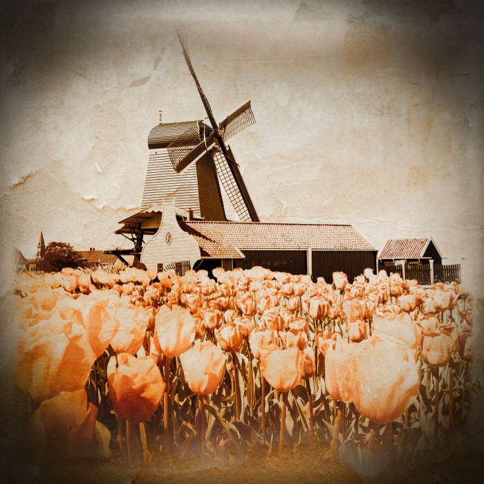 oud Holland arrangement