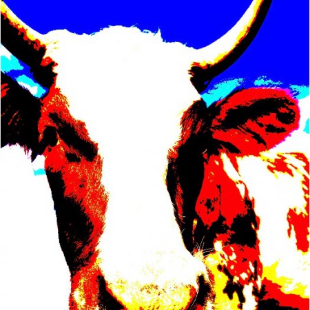 Pop art schilderen, groningen, leeuwarden, dokkum, assen