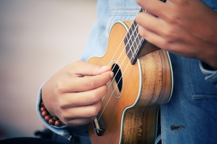 Ukelele workshop