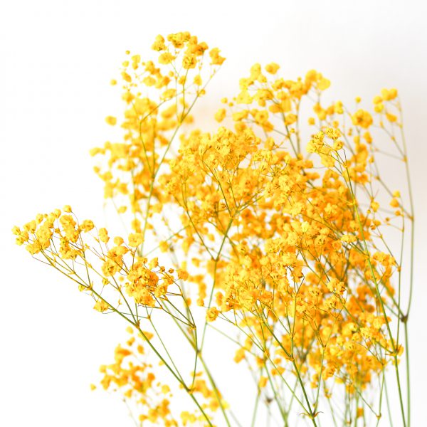 droogbloem-krans-maken-diy-urbanheart