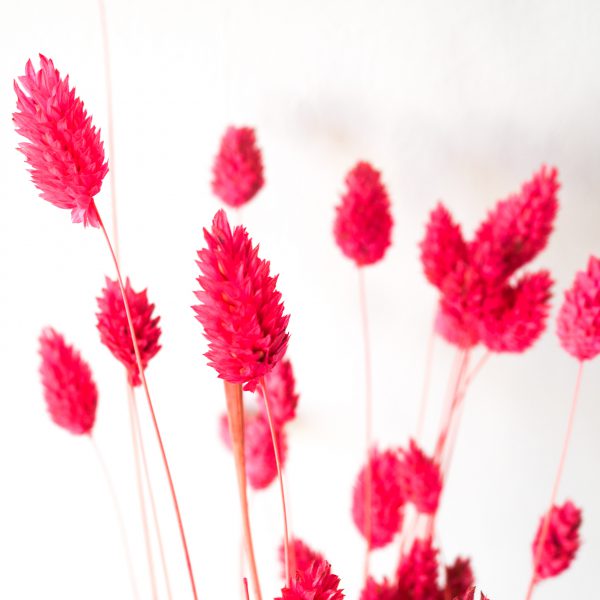 droogbloemen-krans-maken-samen-uit-diy-pakket-pink-spring-urbanheart